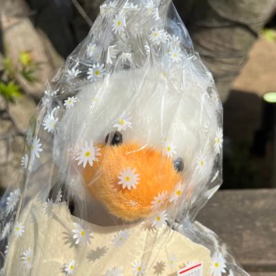 mksmsr2's profile picture. ツイキャス グルメ 国内観光 音楽(最近疎い) GLAY/THE YELLOW MONKEY/B′z/ｵｰﾗﾙ/ﾊﾛﾌﾟﾛetc..日常を呟きます（´-`）.｡o
最近KEY TO LIT🕺Juice=Juice🍹M!LK🍼SUSHIBOYS🍣にﾊﾏり中

魔除け👉天安門