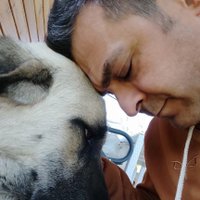 Av. Erdem Koray Toygar (@avtoygar) 's Twitter Profile