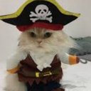 Isaac Nieves flores - @IsaacNievesflo1 - Twitter