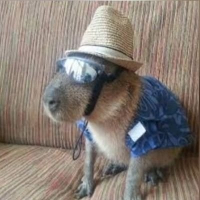 slizhed's profile picture. if you're hungry, eat