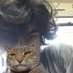 ivansillo (@nazafontt1) Twitter profile photo ivansillo (@nazafontt1) Twitter profile photo