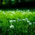 Relaxing music natural (@spotanaboyina) Twitter profile photo Relaxing music natural (@spotanaboyina) Twitter profile photo