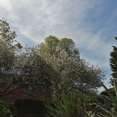 Linne161's profile picture. France