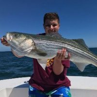 Ethan Hart (@ethanha27468902) 's Twitter Profile