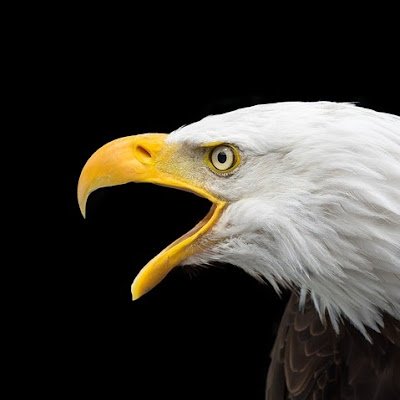 StevePe28241659's profile picture. 