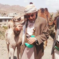 Abdullah N Dammag (@dammag_n) Twitter profile photo