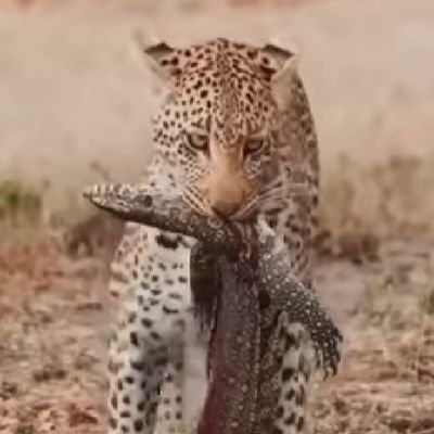 Nasaruddinisha2's profile picture. Huraaaaa