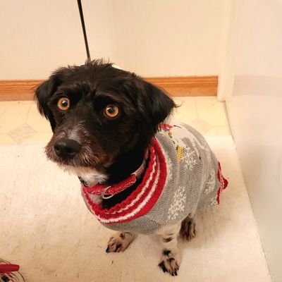 Kristin46014767's profile picture. 