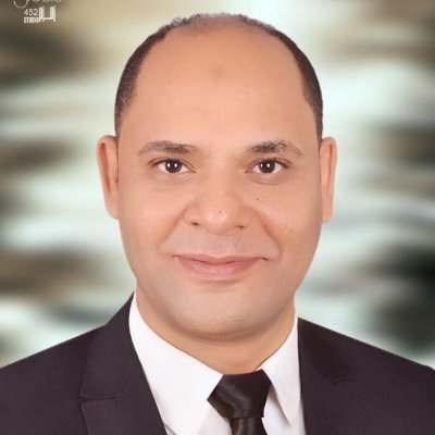 Mr.Mohamed Mansour Profile