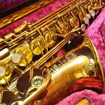 趣味でアルトサックス吹いてます🎷ママさんブラスときどきJAZZのちJ-POPところにより演歌🤣藤井風さんの曲を🎷で歌っております🎷♥🎹♥🌸🌿
SELMER SA.80 seriesll＋MEYER 5M RC model ＋HARRISON GP
いけばなやってます🪻