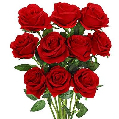 DavidWa85868445's profile picture. Dr