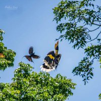 K M (@kkm25209076) 's Twitter Profile