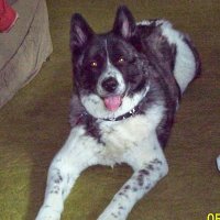 Sandy Sleaster (@s_sleaster) 's Twitter Profile