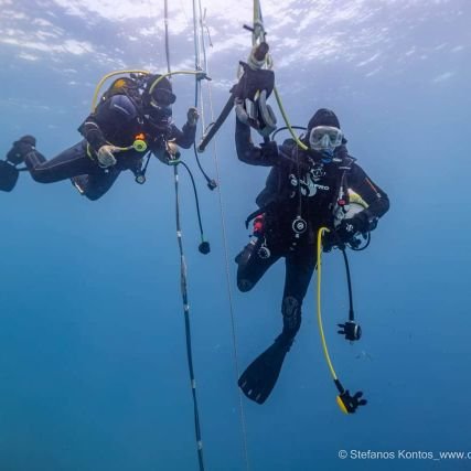 Dive Industry Professional 
Underwater Explorer 
Member of the Explorers Club