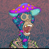 David Adamson|TATπ (@david92039229) 's Twitter Profile