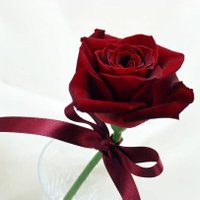 Mustafa tek erkek profili (@alevmustafa1) 's Twitter Profile
