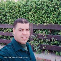 Wael Saعid (@waelsaidghazy) 's Twitter Profile