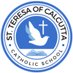 St. Teresa of Calcutta CS (inactive) (@StTeresaC_YCDSB) Twitter profile photo