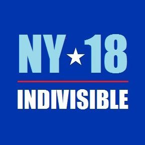 Supporting Progressive change in NY’s 18th House district. Democrats preserve & protect Democracy while Republicans embrace fascism. #NY18