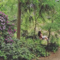 Alice (@alibongor) 's Twitter Profile