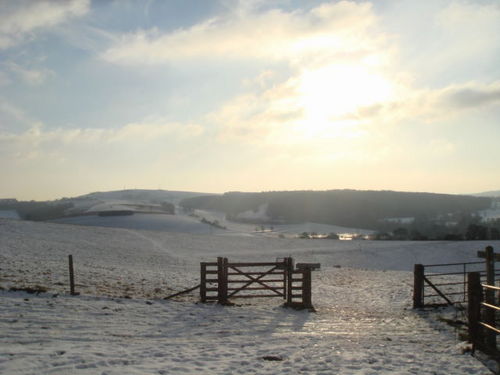 SDownsWeather's profile picture. Amateur weather station based in Singleton in the South Downs National Park, between Chichester and Midhurst.