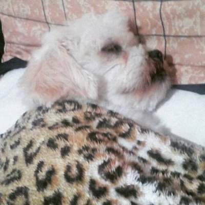 JoanMBQ's profile picture. 