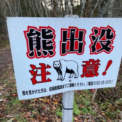 たまに馬にも乗ります。キッチュなものや味わい深いものの写真を撮っています。