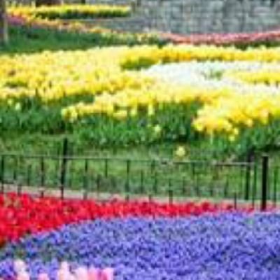 8HnIBJ7jYD4bZYf's profile picture. الأمانه والشجاعة