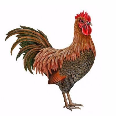 CintaMatiNKRI's profile picture. 