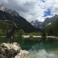 Mathias Krause | @minipli@infosec.exchange (@_minipli) 's Twitter Profile