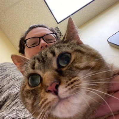 Follow me @ https://t.co/gHV3CVW57p for some awesome Pokemon, Smash Bros, and Magic the Gathering content! Adding Guilty Gear: Strive soon!