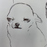Spectral T (@t_spectral) 's Twitter Profile