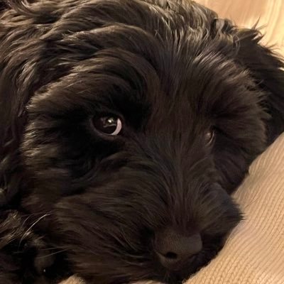 eimearcusack1's profile picture. 