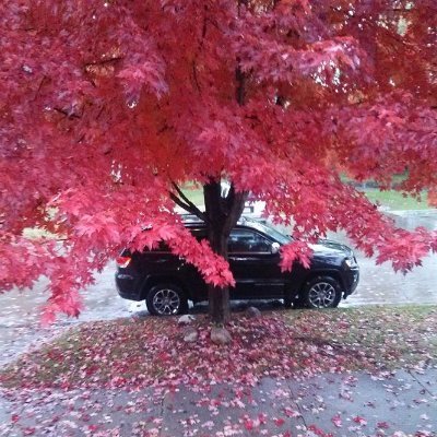 LuketheDuke939's profile picture. I am me. I will not follow back.