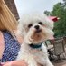 Aimee McElveen (@aimee_mcelveen1) Twitter profile photo Aimee McElveen (@aimee_mcelveen1) Twitter profile photo