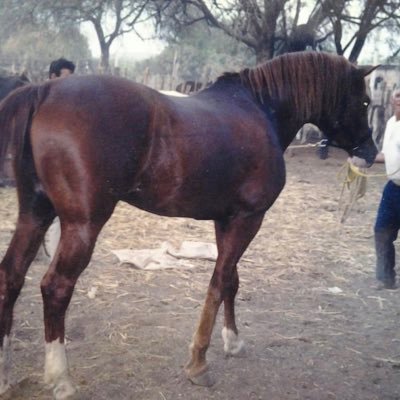 Jos01471166Jose's profile picture. Son mexicano con mucho amor a mi patria y creo firmemente en la igualdad humana