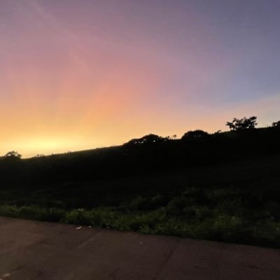 punhetasrec's profile picture. Punhetasrec