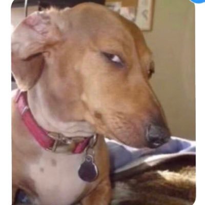 MM22444444's profile picture. 
