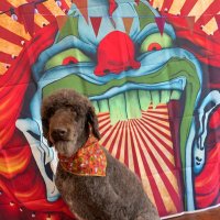 Ed Farrell (@edfarre68679842) 's Twitter Profile Photo Ed Farrell (@edfarre68679842) 's Twitter Profile Photo