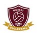 LR Wildcat Volleyball (@lrvball) Twitter profile photo