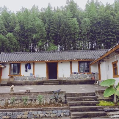 KaweiF's profile picture. 自由、公平