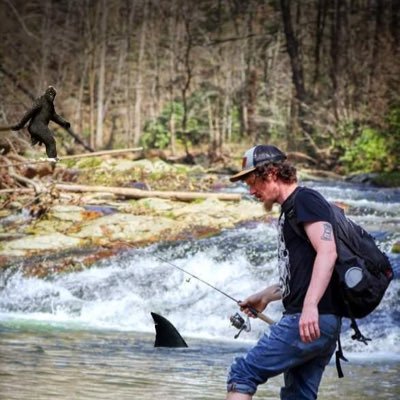 HippyFisherMMA Profile Picture