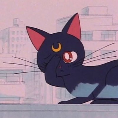 neko__moon's profile picture. 76期B→モームリ