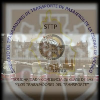 STTPCDMX