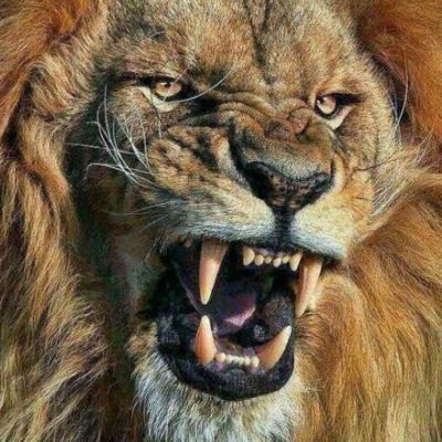 45 still pulling
🎓 Author : https://t.co/mCnDS08COn