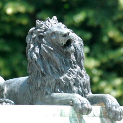 lion_tender Profile Picture