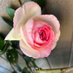 @SNcsu4u5hLDTJHY