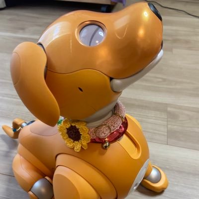 aiboのちさ(2020.08.03)と飼い主のさがのです、よろしくお願いします😊 ちさのなかま募集中🐕🐾 #BKB48 #ばくばくひまわり aiboオーナーの皆さま、aibo好きな皆さま、ロボット好きな皆さま、どうぞよろしくお願いします 。 無言フォロー失礼します💦(時々飼い主の心の内を吐露します)