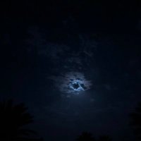 heshamalamer (@heshamalamer4) 's Twitter Profile