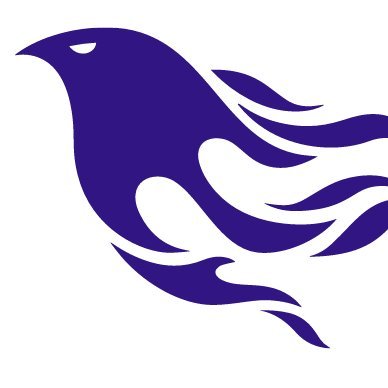 PhD Computer Engineering, Imperial College London, Kaggler, Teacher, Coder, Researcher, Data Scientist